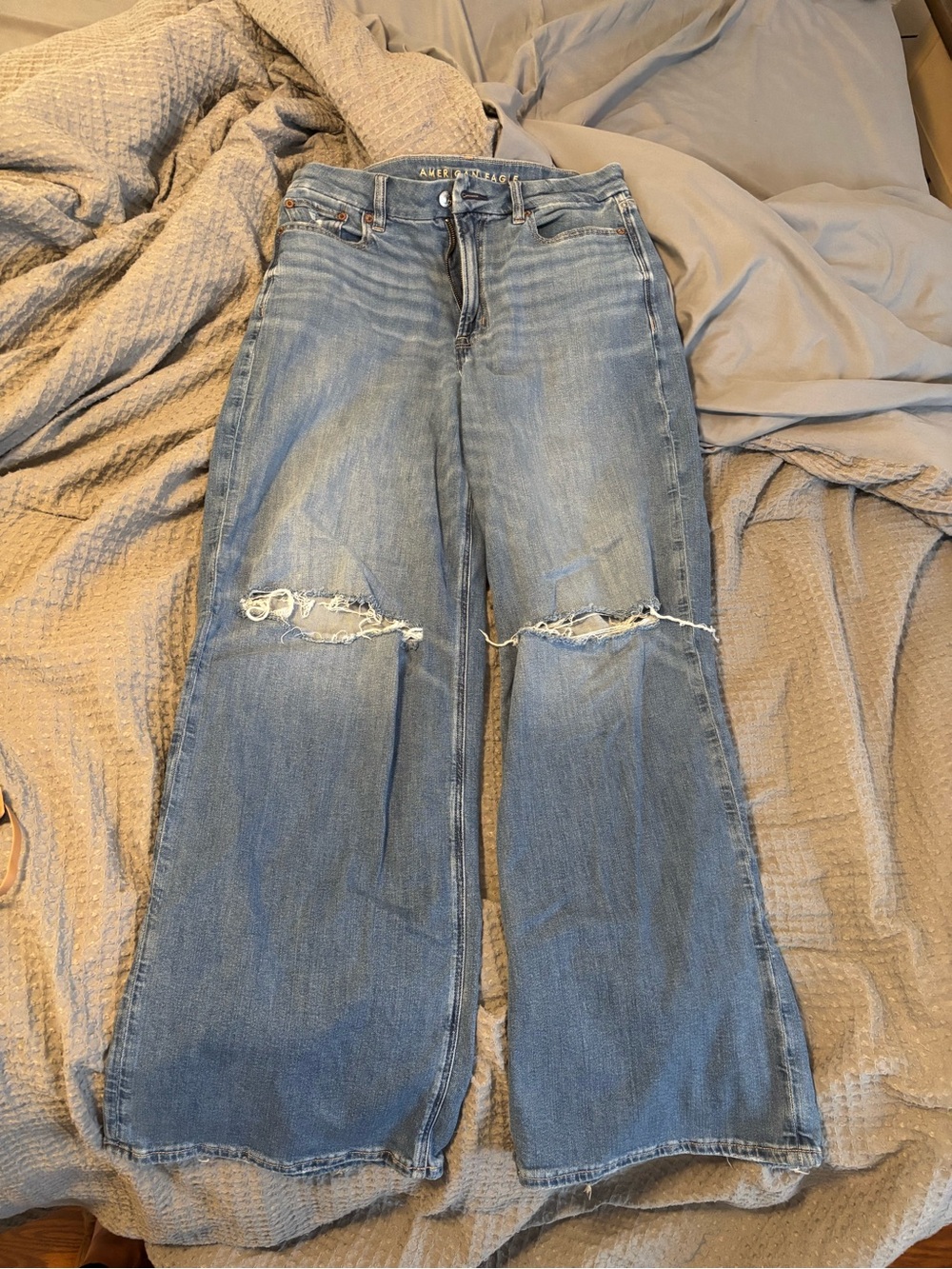 American Eagle Outfitters Distressed Light Blue Wide-Leg Jeans